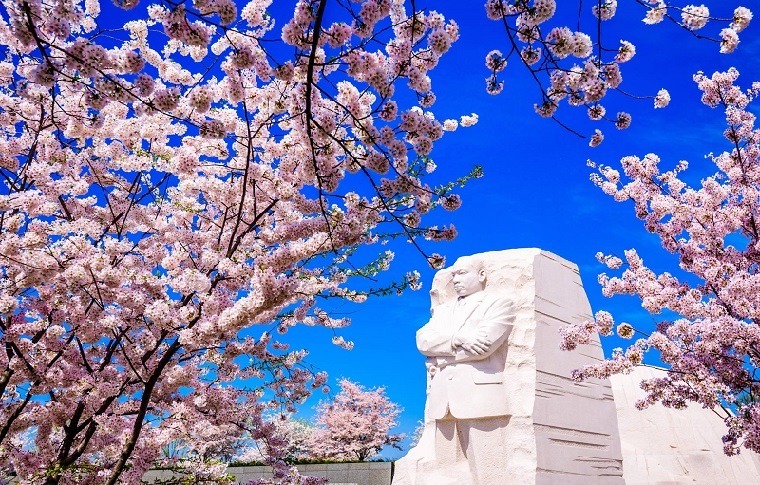 How to Save on Your Washington, DC, Senior Tour and Visit