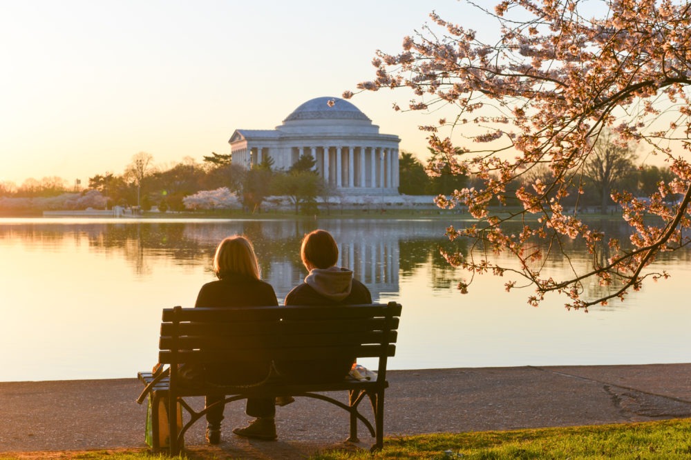 Top 5 Free Things to Do in DC