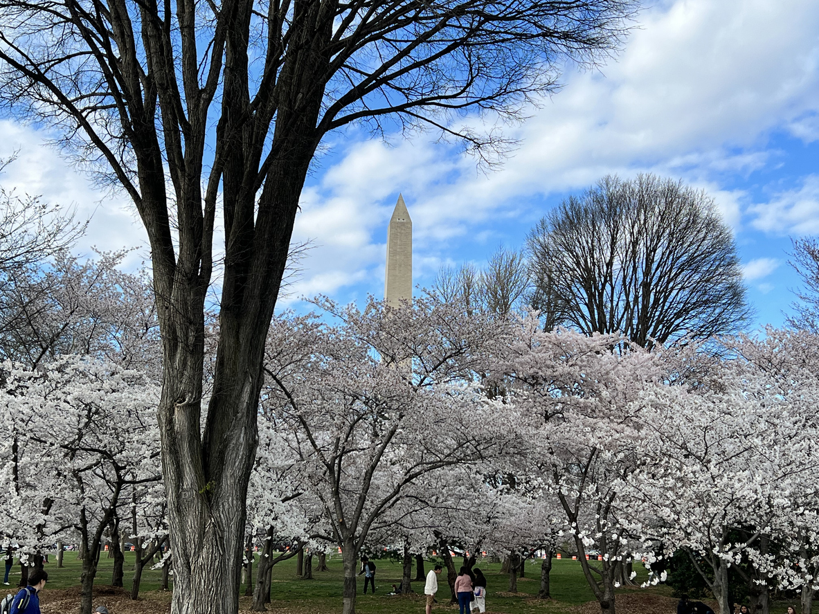 What to Do on Memorial Day Weekend in Washington, DC