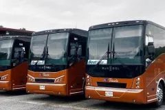 buses