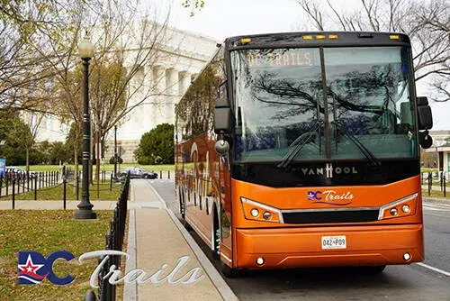 Double Decker (Open Tops)