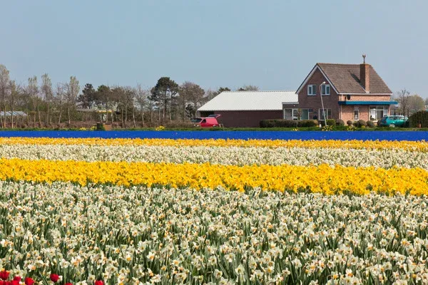GLORIOUS SPRING IN CAPE MAY Cape May, New Jersey