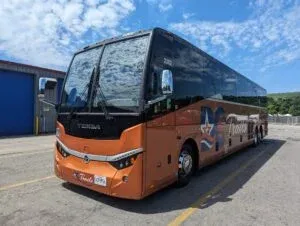 Temsa - 4